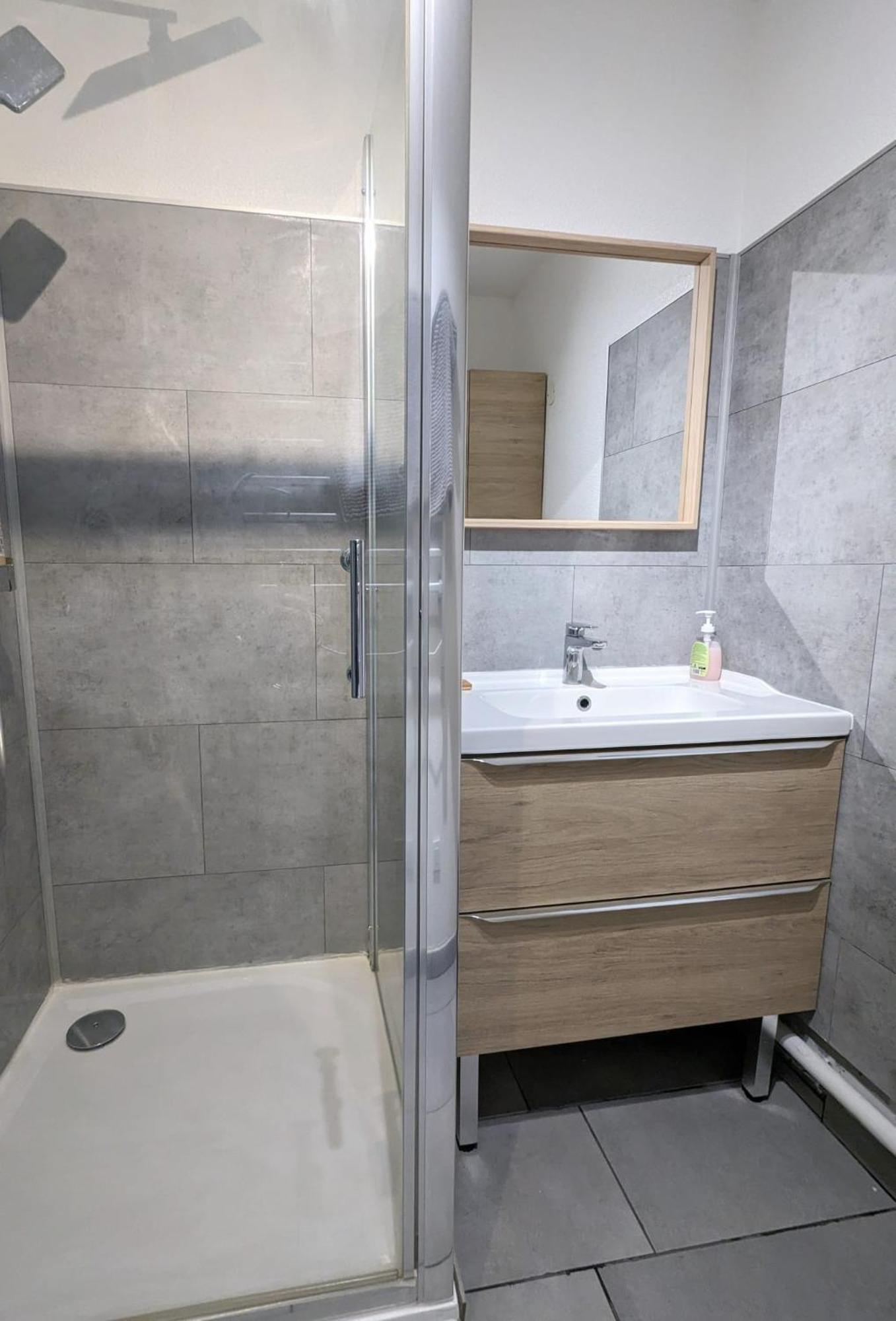 דיז'ון Le Clairvaux - Proche Centre Avec 1 Place En Parking Souterrain מראה חיצוני תמונה